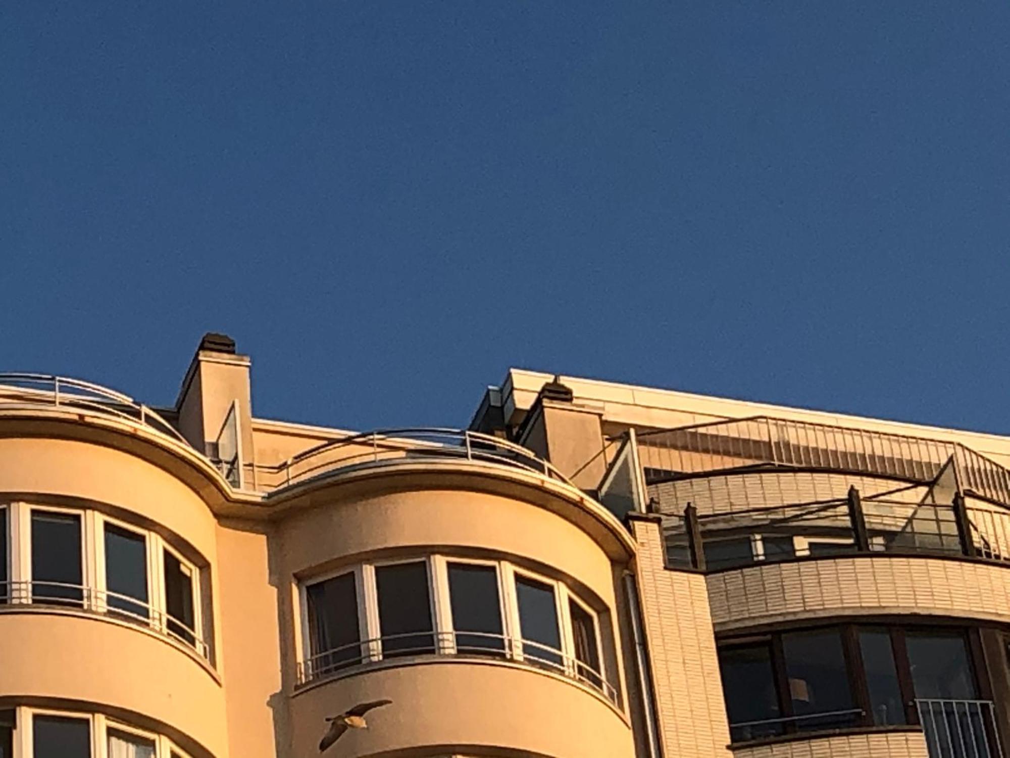 Ferienwohnung El Mirador Penthouse Paris Ostende Exterior foto